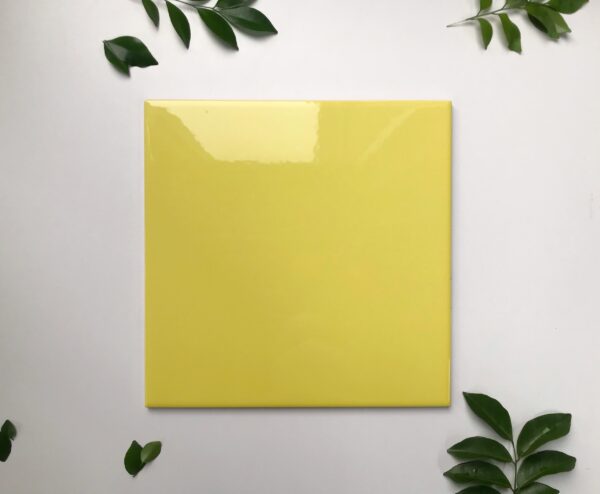 Gạch thẻ B2256 - Daisan Store