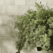 Gạch Thẻ LNA1501M - Daisan Store