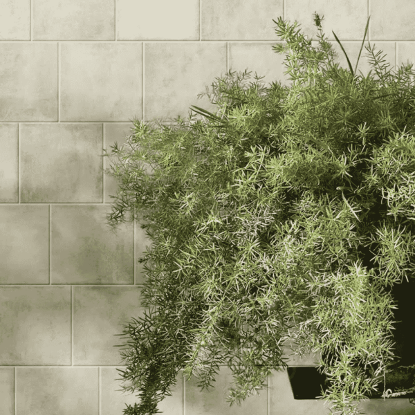 Gạch Thẻ LNA1501M - Daisan Store