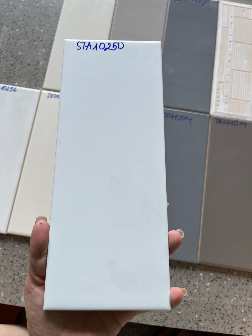 Gạch thẻ Việt Nam trắng bóng phẳng KT 100x250mm loại 1 mã STA10250 - Daisan Store