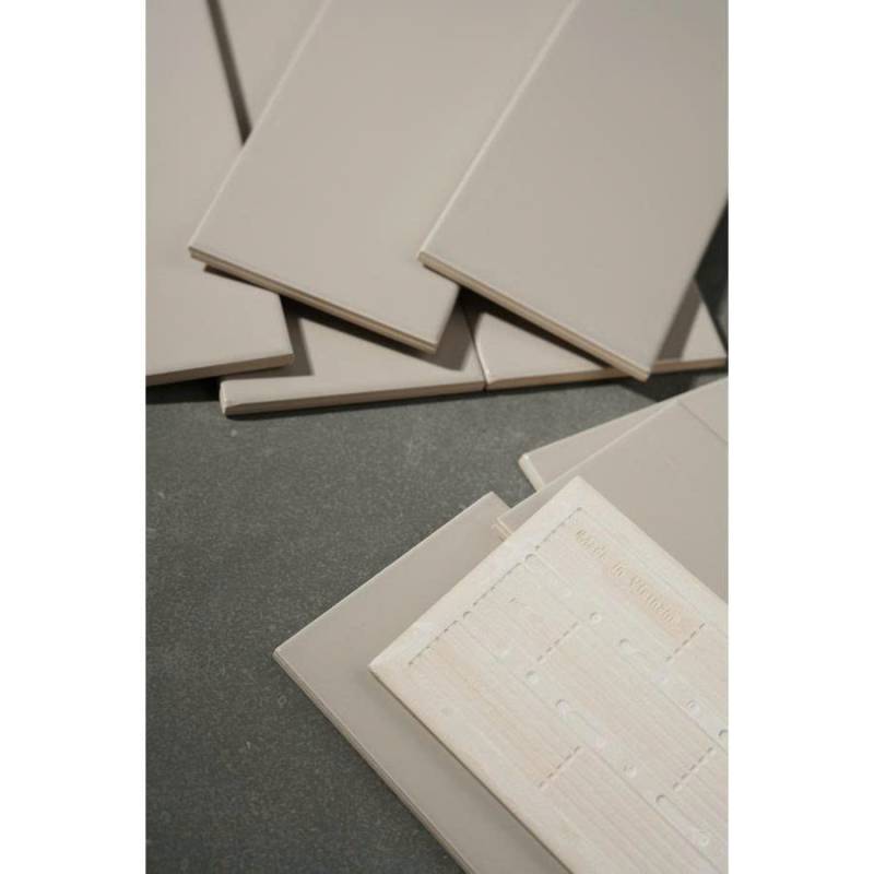 Gạch thẻ xám bóng phẳng KT 100x250x40mm FA0410P - Daisan Store