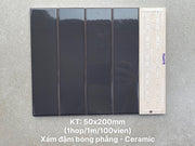 Gạch thẻ xám đậm bóng phẳng KT 50x200 PSTA50209 - Daisan Store