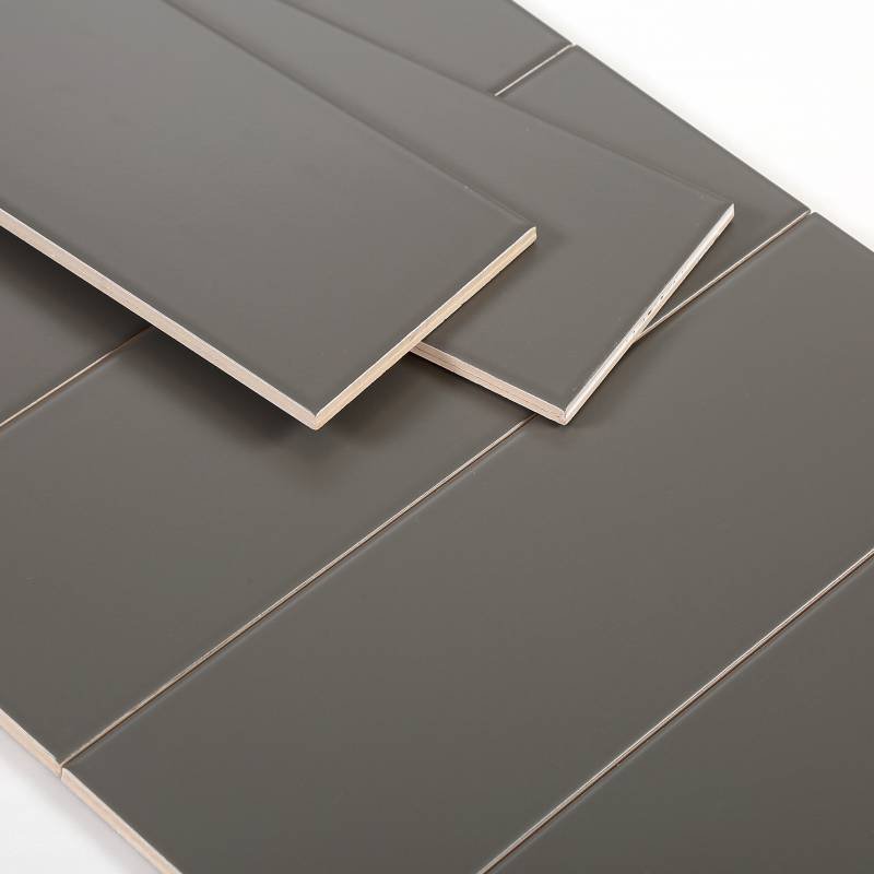 Gạch thẻ xám đậm mờ phẳng 100x300mm M1303Y - Daisan Store