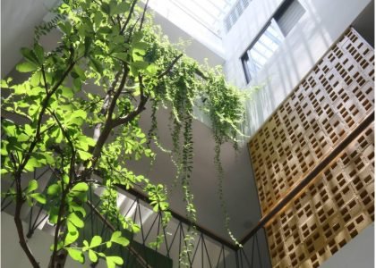 Gạch thông gió xi măng MT - GTG00019 - Daisan Store