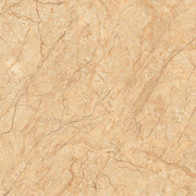 Gạch Viglacera CL - GP804 - Daisan Store