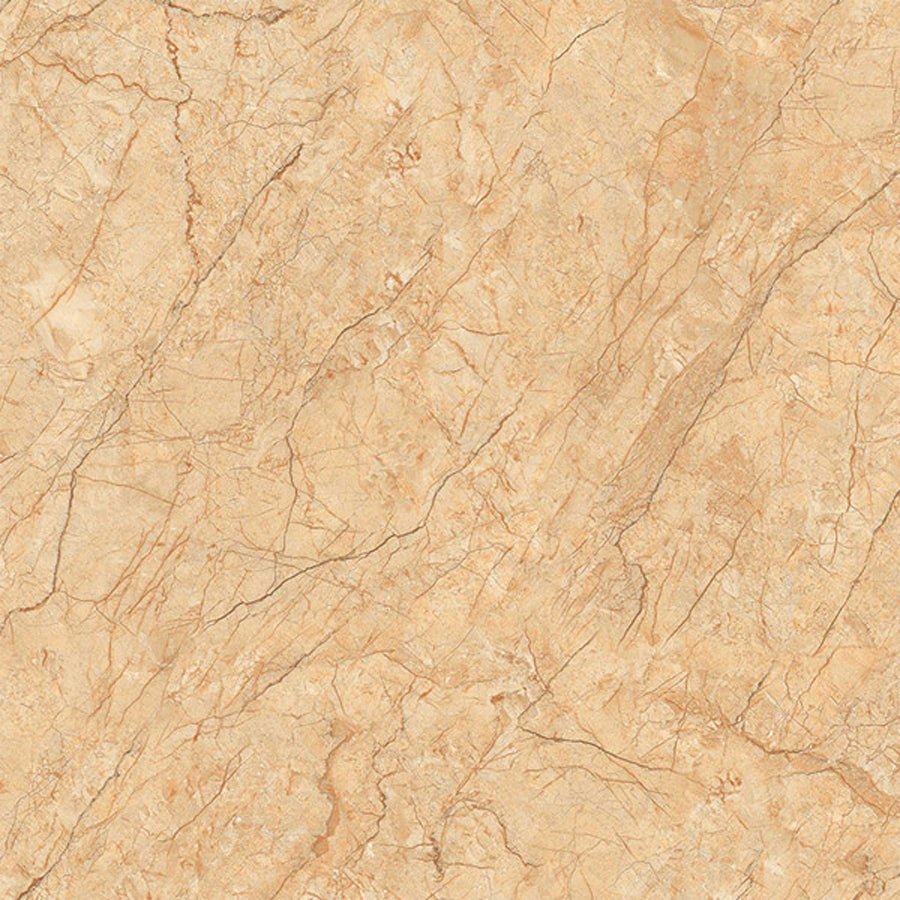 Gạch Viglacera CL - GP804 - Daisan Store