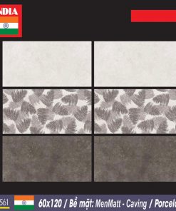 Gạch nhập khẩu Ấn Độ 60×120 561