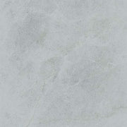 Gạch lát nền taicera 60×60 gp68848