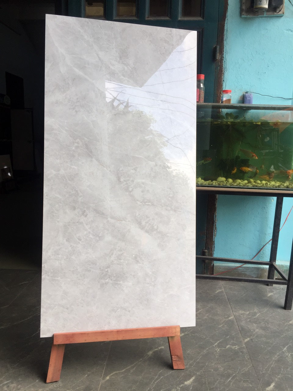 Gạch ốp lát Apodio M61HG806 (Bóng)