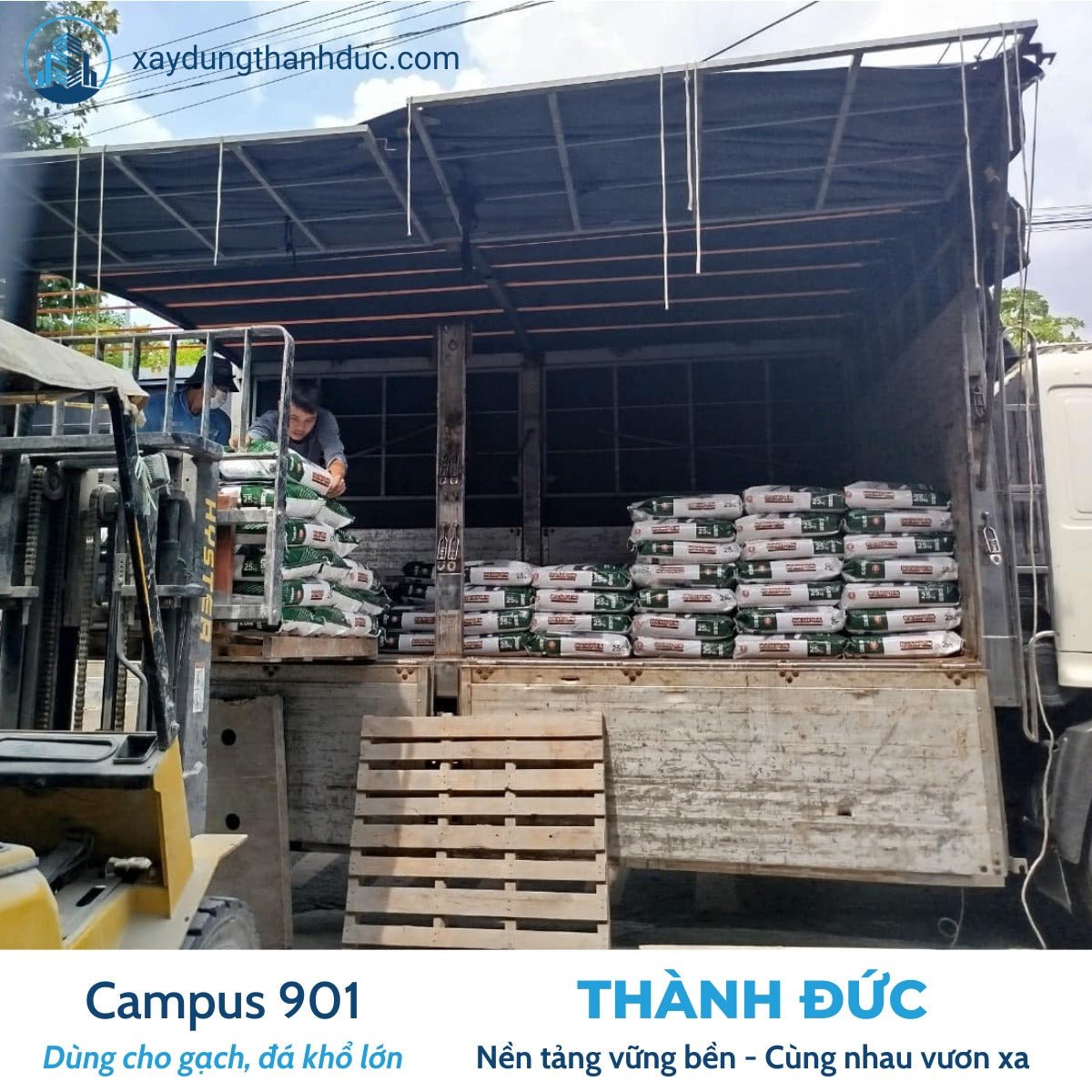 Keo Dán Gạch Campus 901 – Nội Thất & Ngoại Thất Có Mái Che - Daisan Store