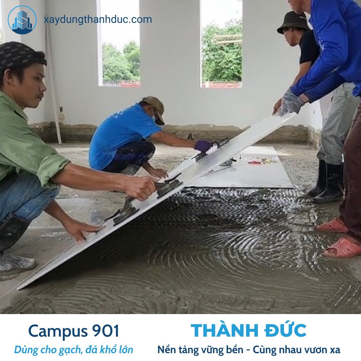 Keo Dán Gạch Campus 901 – Nội Thất & Ngoại Thất Có Mái Che - Daisan Store