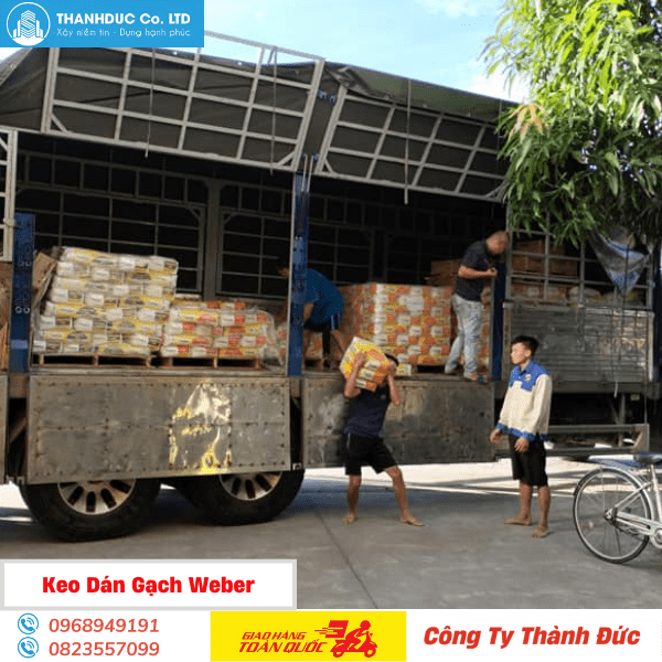 Keo Dán Gạch Weber – Thành Đức Tổng Kho Phân Phối Toàn Quốc - Daisan Store