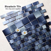 Nhà cung cấp gạch hồ bơi Bluwhale - Gạch lát đường viền hồ bơi - Daisan Store