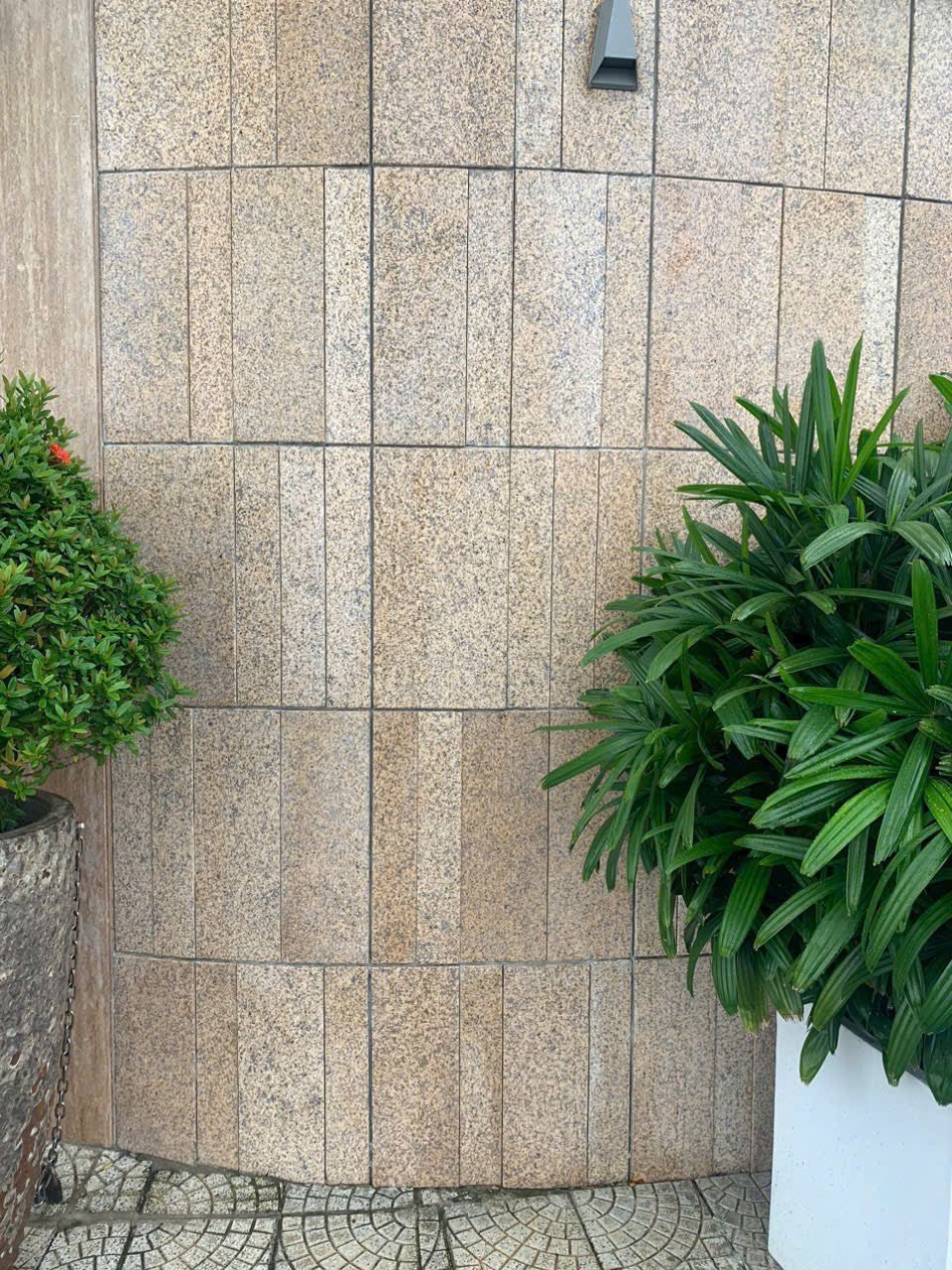 Ốp Tường Đá Granite Vàng Băm Tự Nhiên Sang Trọng - Daisan Store