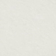 Gạch lát nền taicera 60×60 p67542n