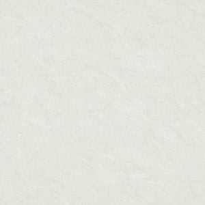 Gạch lát nền taicera 60×60 p67542n
