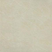 Gạch lát nền taicera 60×60 p67543n