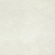 Gạch lát nền taicera 60×60 p67663n