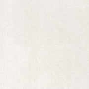 Gạch lát nền taicera 60×60 p67702n