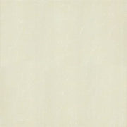 Gạch lát nền taicera 60×60 p67763n