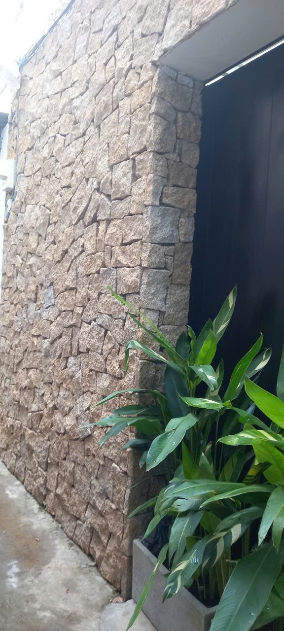 Đá rối vàng Bình Định