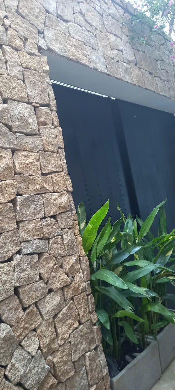 Đá rối vàng Bình Định