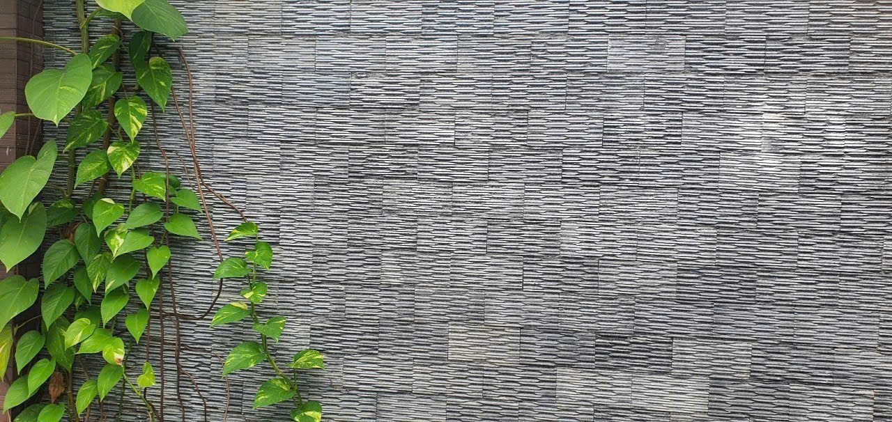 Đá răng lược đen