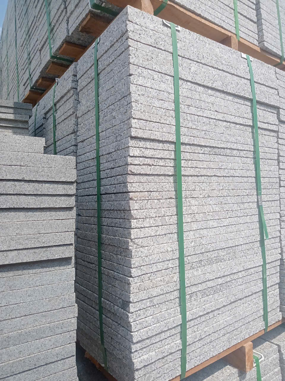 Tím hoa cà khò 30x60x1,8