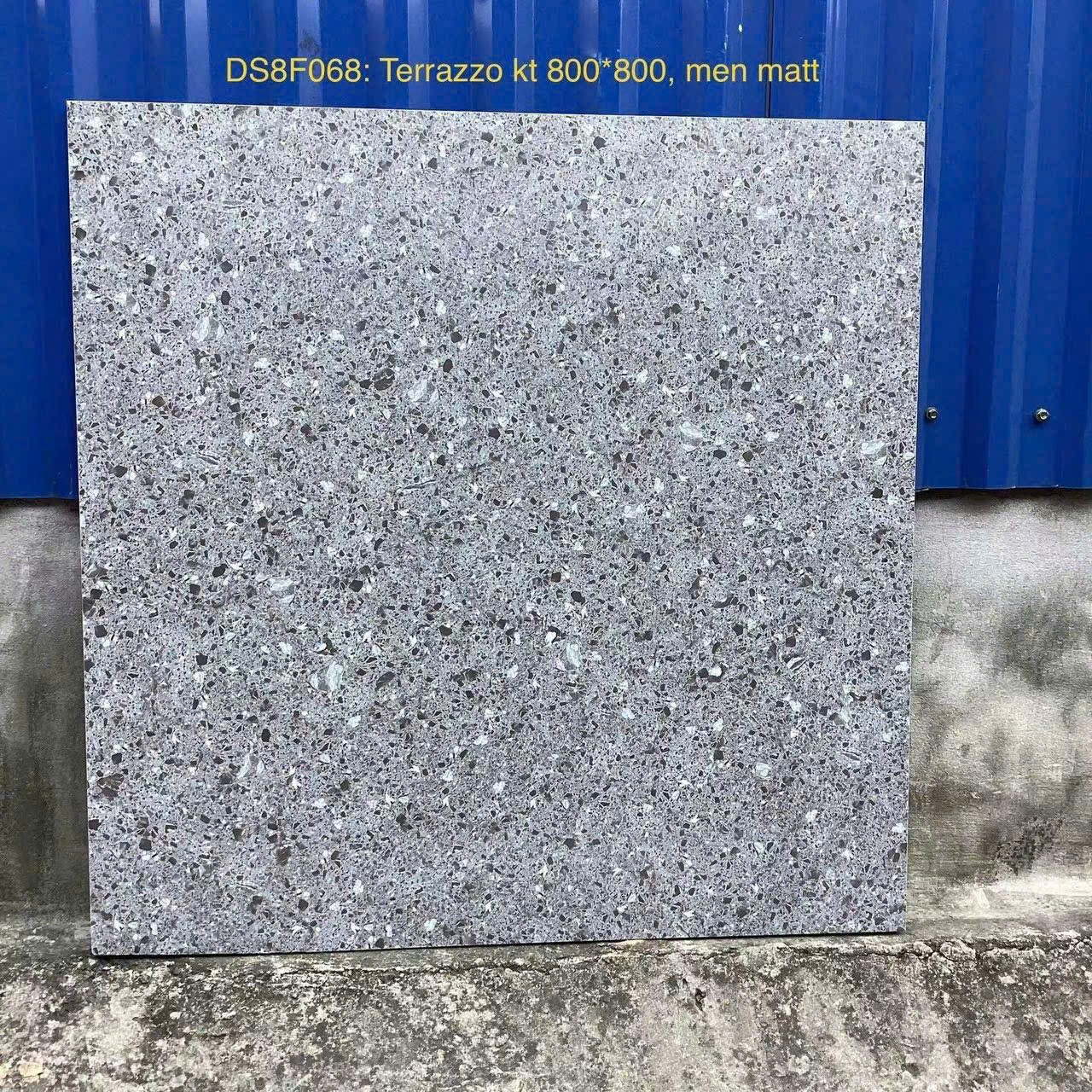 Gạch Terrazzo men matt 80x80 DS8F068