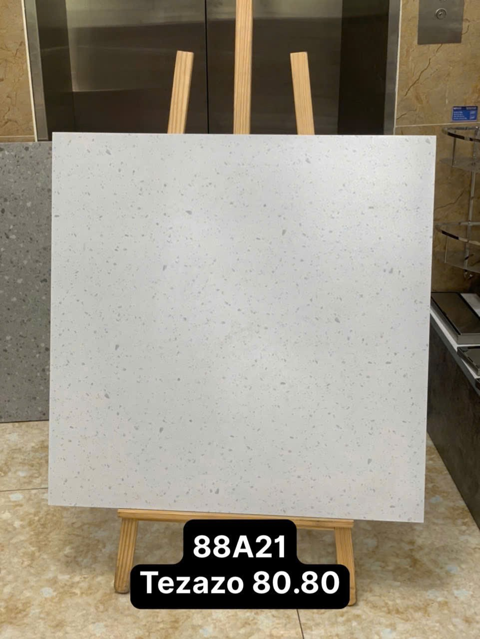 Gạch Terrazzo 80x80 88A21