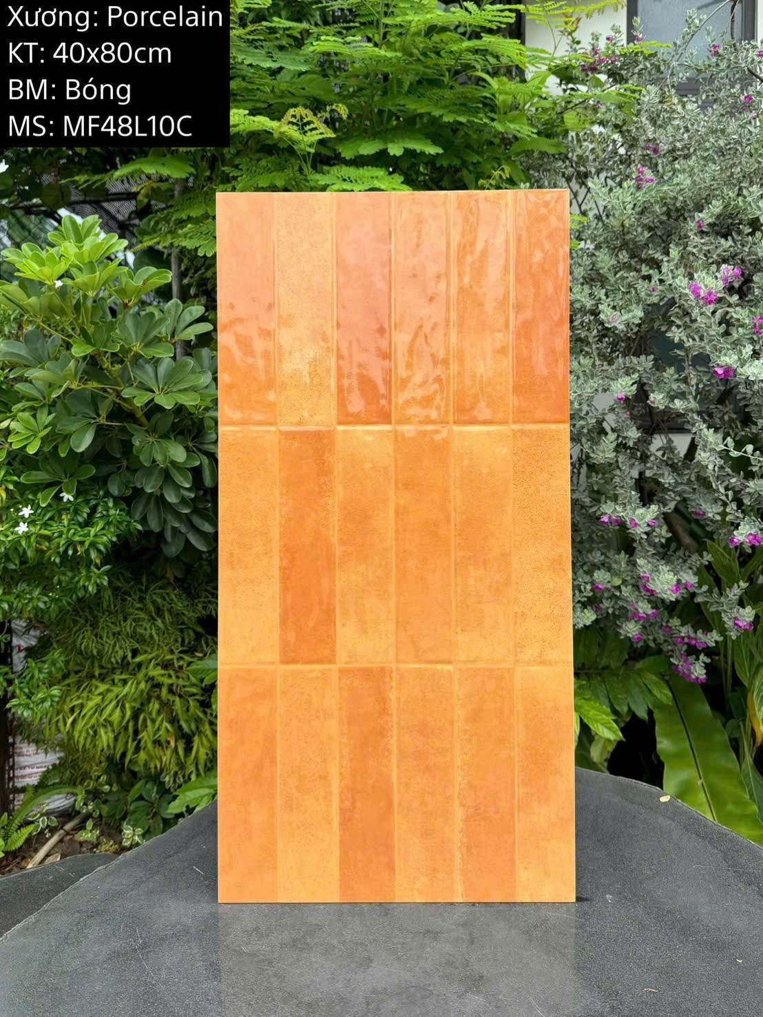 Gạch ốp tường giả thẻ men bóng KT 400x800mm mã MF48L10C