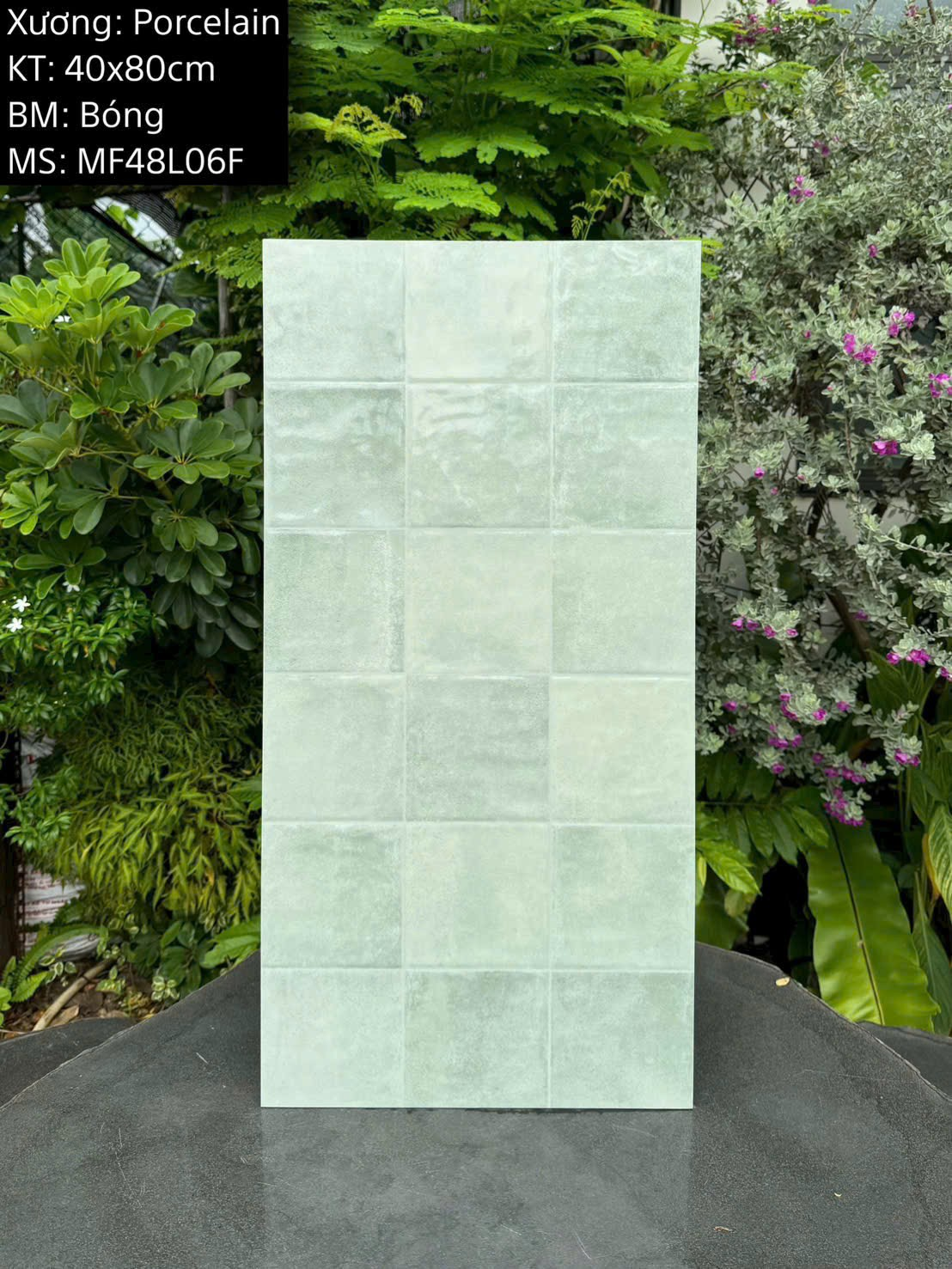 Gạch ốp tường giả thẻ men bóng KT 400x800mm mã MF48L06F