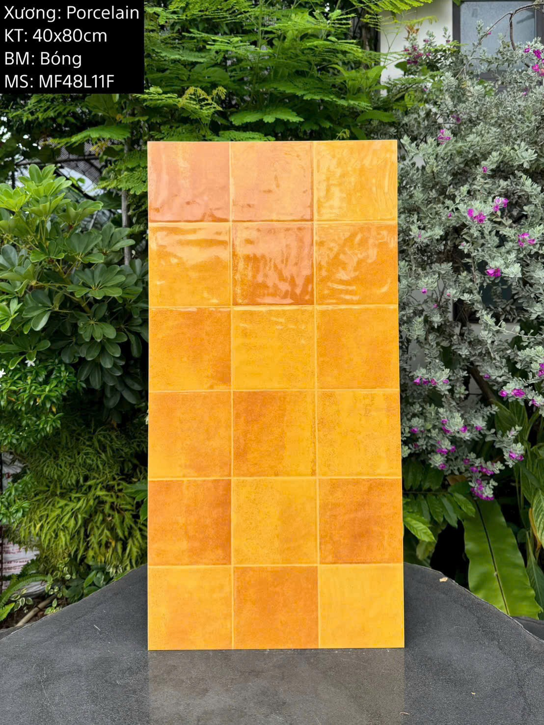 Gạch ốp tường giả thẻ men bóng KT 400x800mm mã MF48L11F