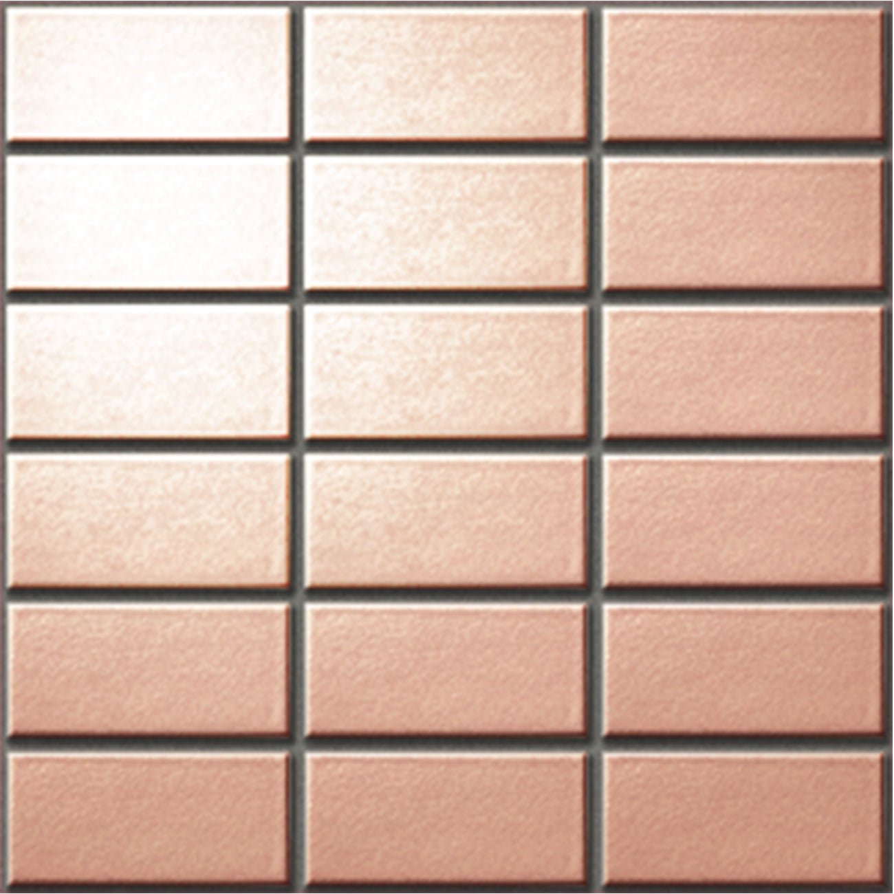 SLC - SHIJYU LUSTER COLOR - Daisan Store