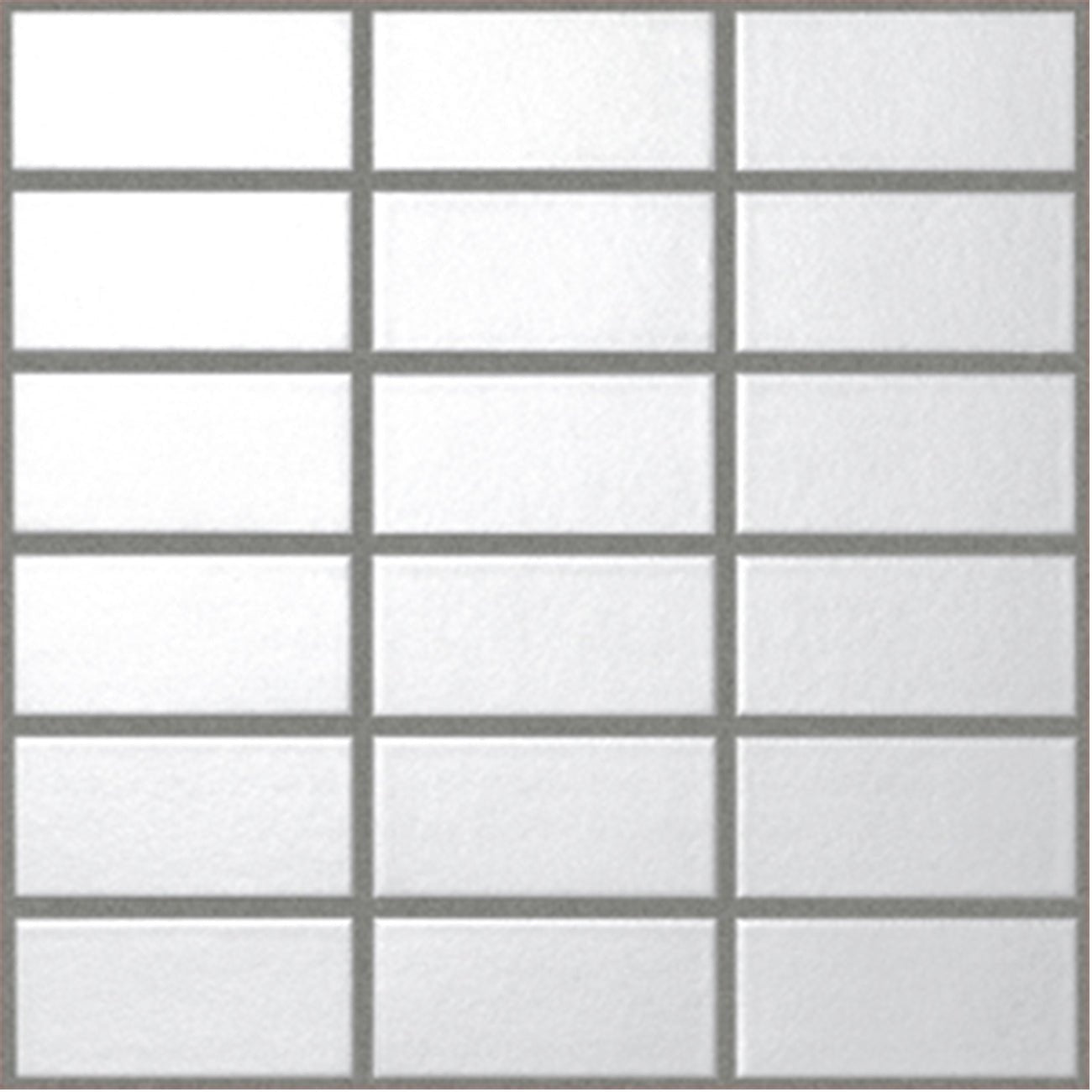 SLC - SHIJYU LUSTER COLOR - Daisan Store