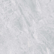 Gạch Men Bóng 600x600 - Mã SMP-66019
