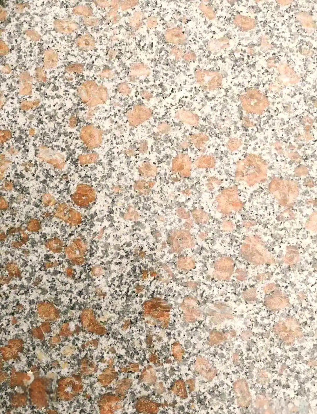 Tấm đá granite đỏ ngọc trai tùy chỉnh cho thiết kế nội thất hiện đại - Daisan Store