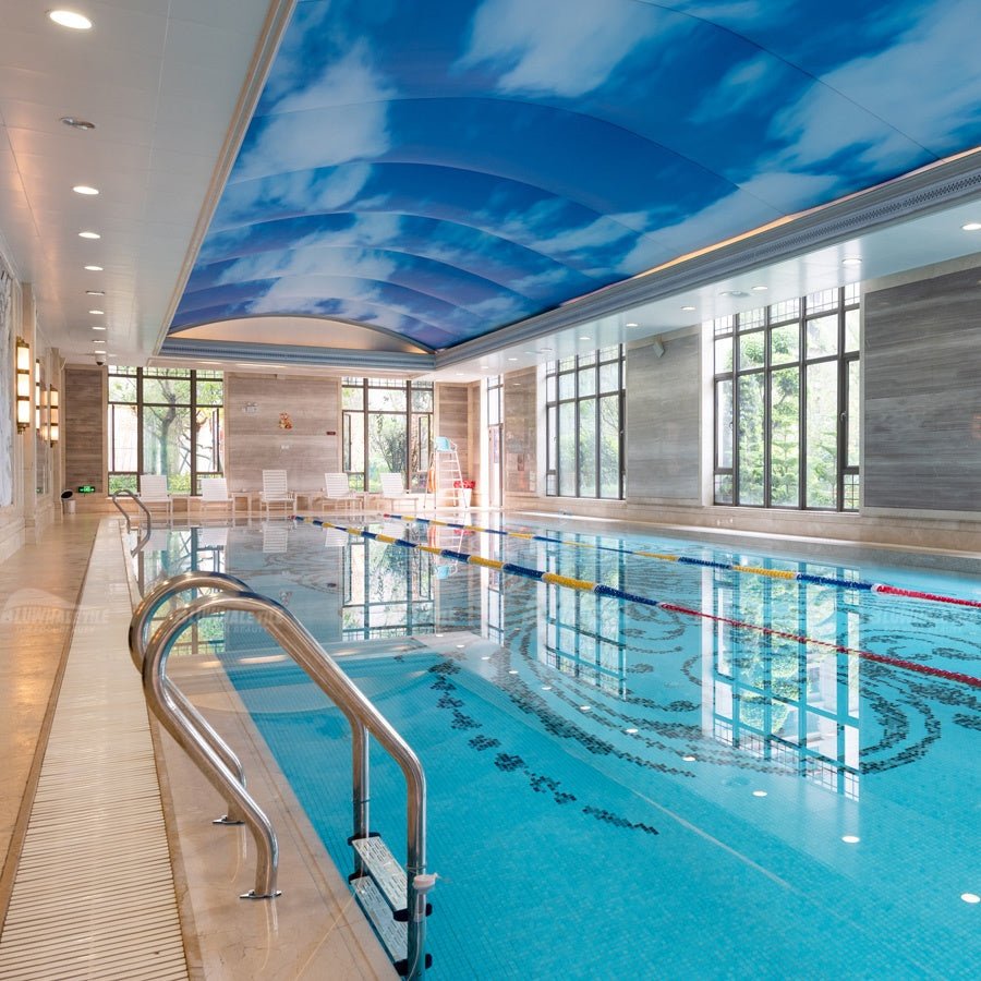 Thang Bể Bơi Inox 304 Chống Trơn 3 Bậc Vịn Bluwhale - Daisan Store