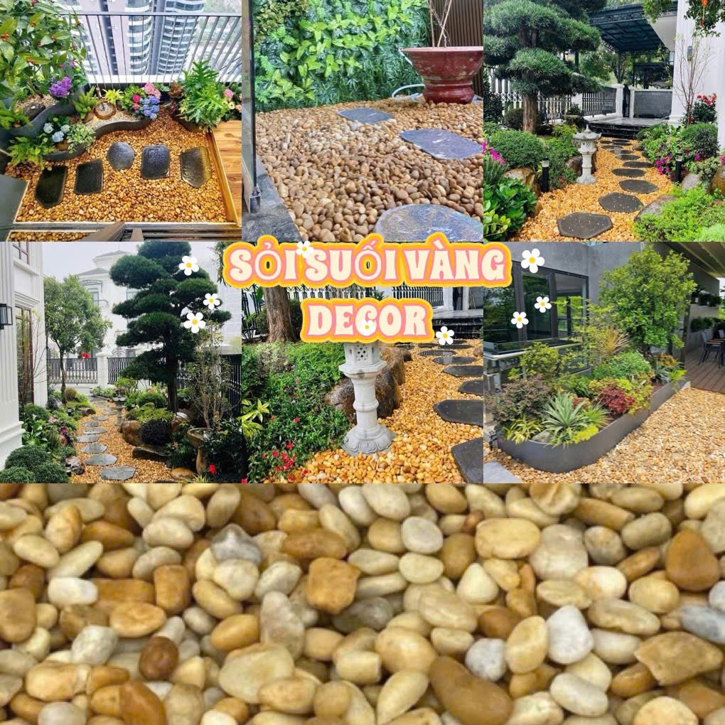 Viên Sỏi Vàng Trang Trí: Vẻ Đẹp Tự Nhiên và Sang Trọng - Daisan Store