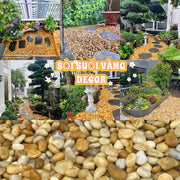 Viên Sỏi Vàng Trang Trí: Vẻ Đẹp Tự Nhiên và Sang Trọng - Daisan Store