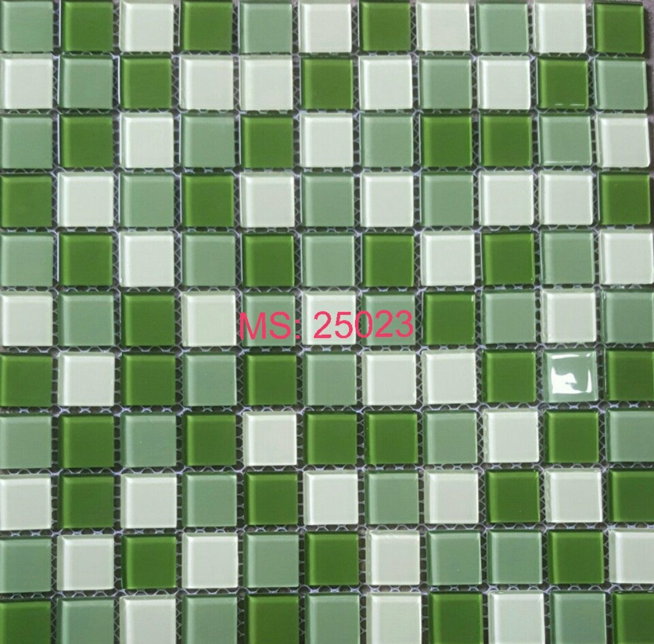 MS.25023