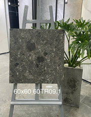 Gạch ốp lát 600x600 mã 60TR09