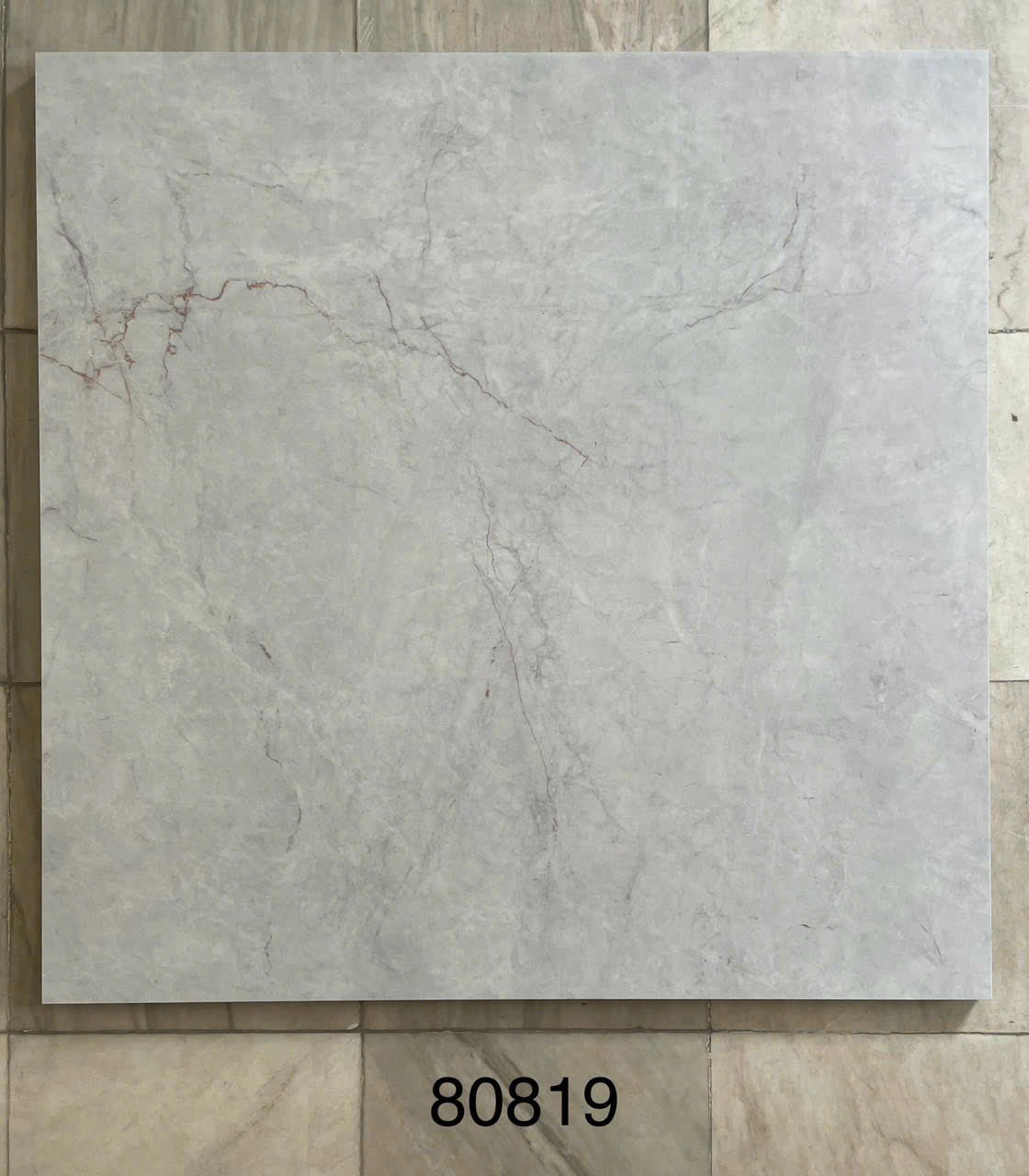 Gạch ốp lát 600x600 mã 80819
