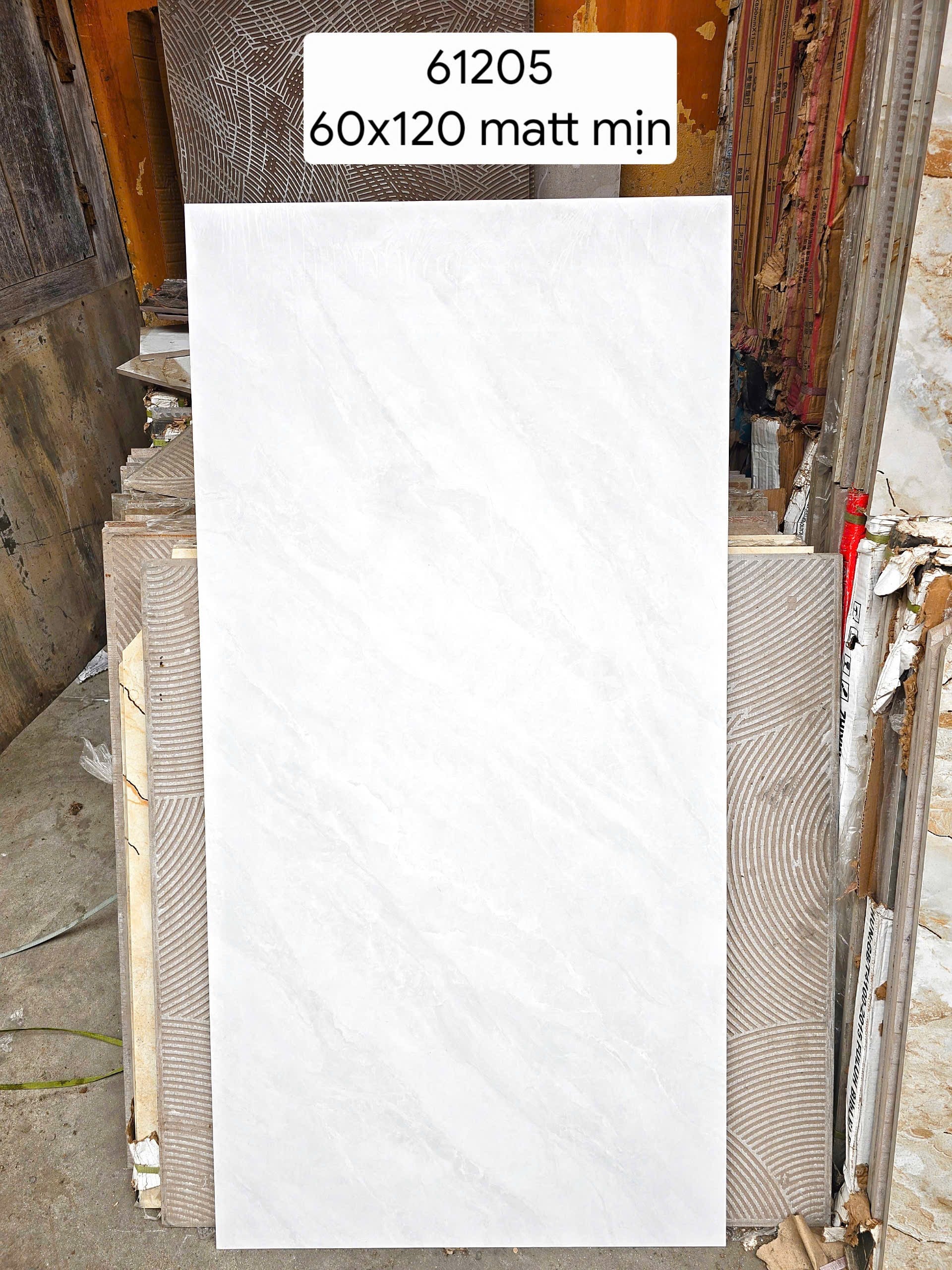 Gạch ốp lát 600x1200 Matt mịn 61205