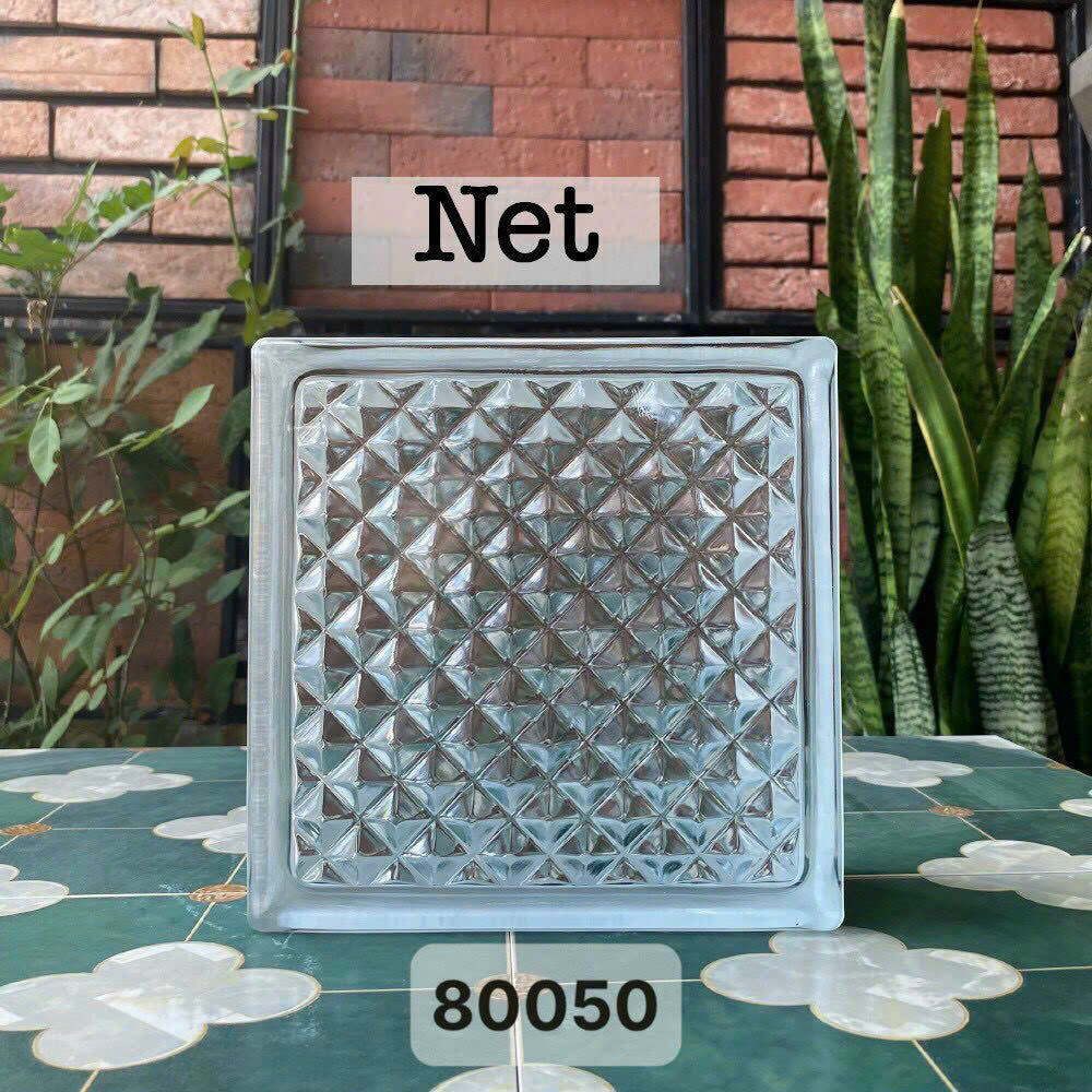 Gạch kính lấy sáng Net mã 80050 – Daisan Store