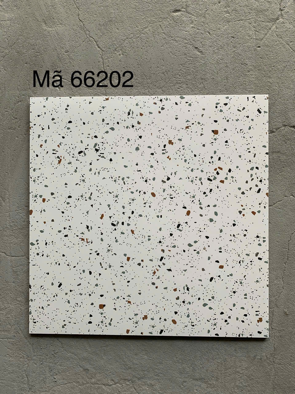 Gạch Terrazzo Giá Rẻ