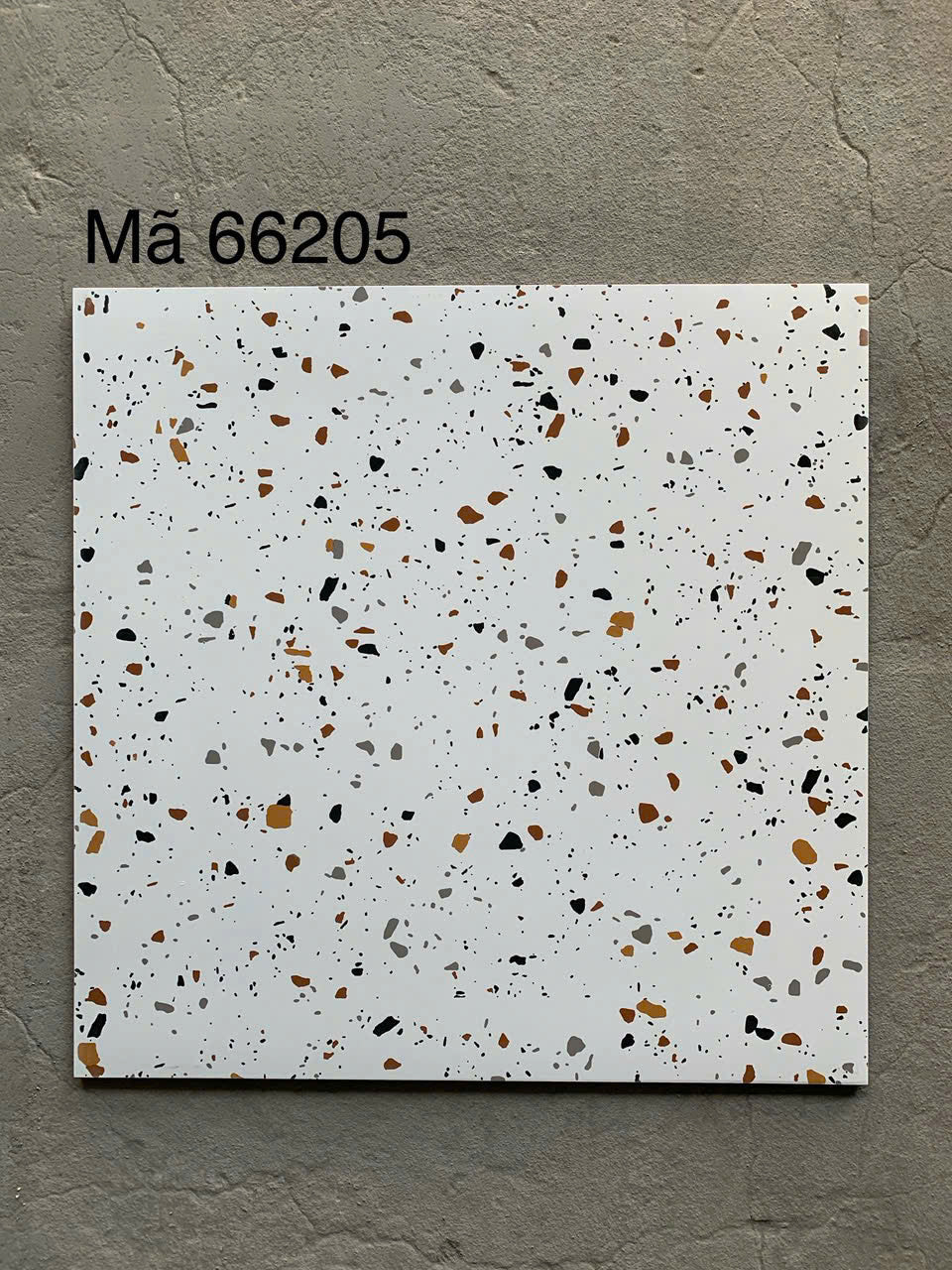 Gạch Terrazzo Giá Rẻ