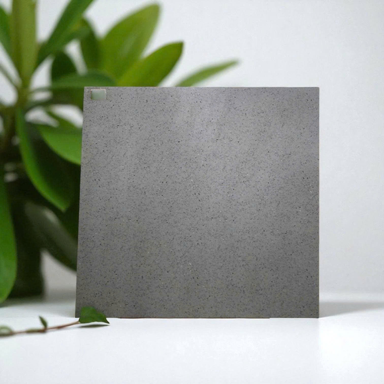 Gạch Terrazzo men matt xương muối tiêu 80x80 88306